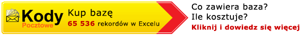 Kup baz� 65 536 rekord�w w Excelu.